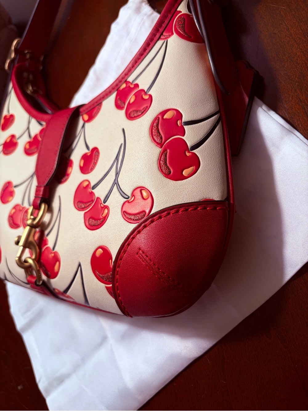 Coach Cherry Print Hampton Hobo Bag - Picture 5 of 14